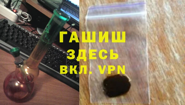 гидра Новодвинск