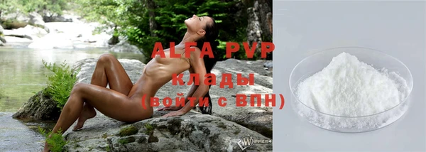 гидра Новодвинск