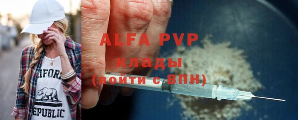 тгк Новозыбков