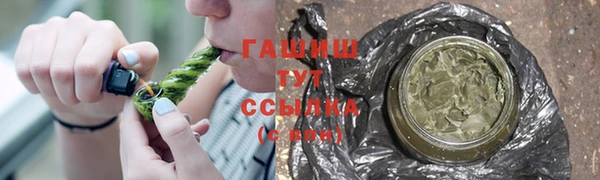 тгк Новозыбков