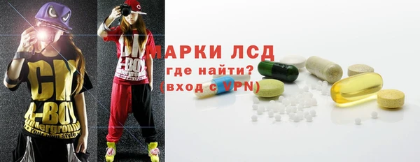 гидра Новодвинск