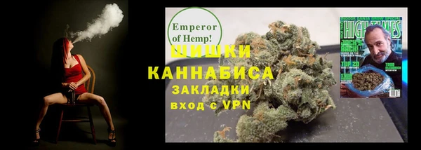 тгк Новозыбков