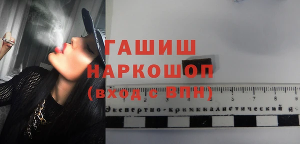 гидра Новодвинск