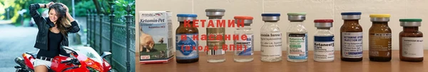 тгк Новозыбков