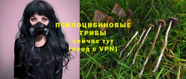 гидра Новодвинск