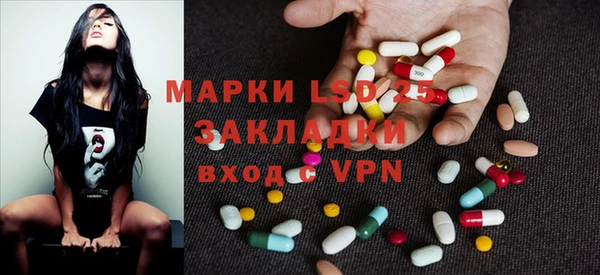 гидра Новодвинск