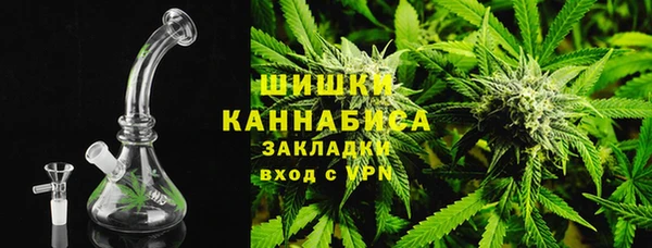 гидра Новодвинск