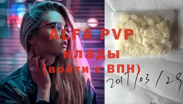 тгк Новозыбков