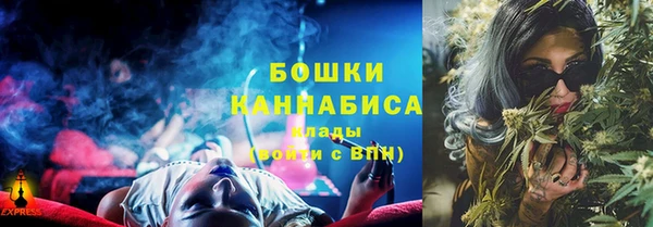 тгк Новозыбков