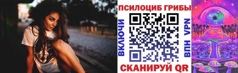 Псилоцибиновые грибы Magic Shrooms  цена наркотик  блэк спрут ссылка  Советск 