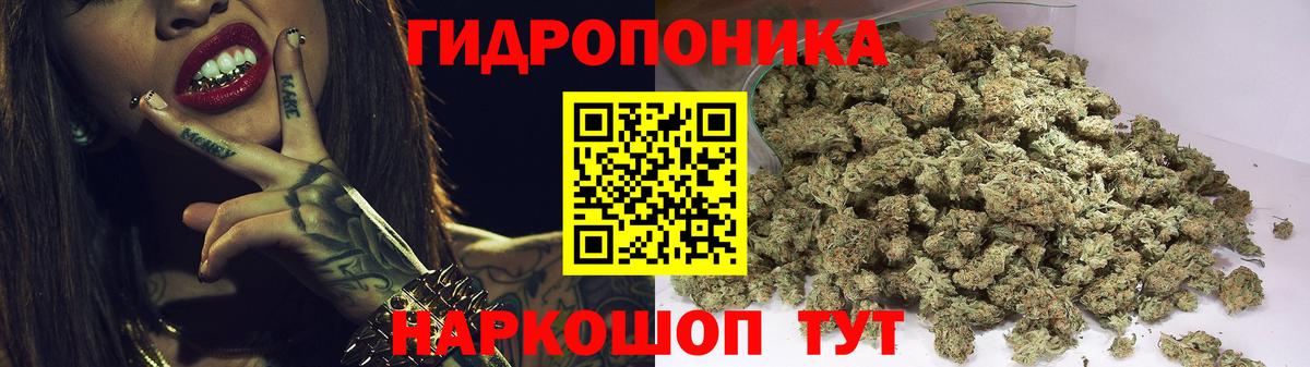 Шишки марихуана VHQ  Шишки марихуана план  Советск  Вход с VPN 